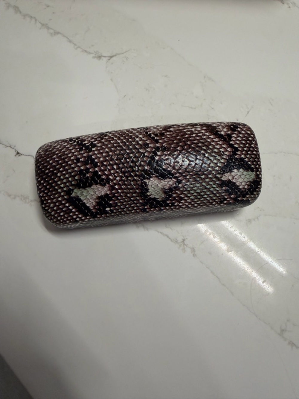 Snake Print Eyeglass Case